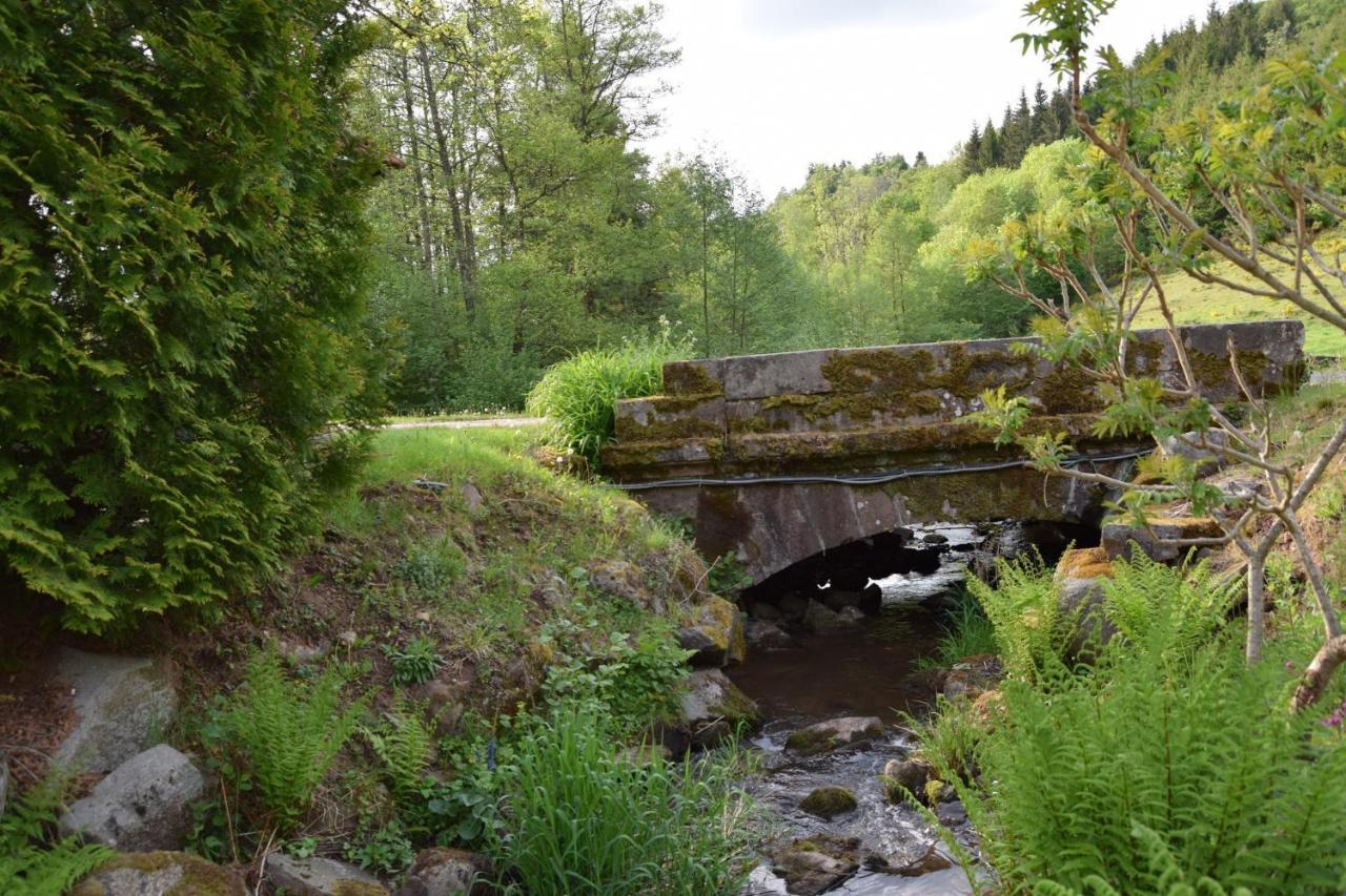Vacance Conviviales Dans Les Vosges 8 Gites Ban-de-Sapt Exterior photo