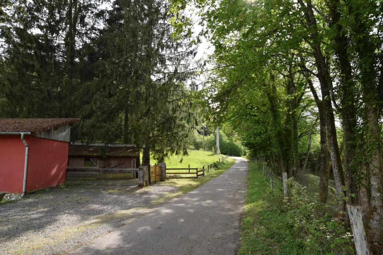 Vacance Conviviales Dans Les Vosges 8 Gites Ban-de-Sapt Exterior photo